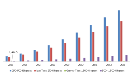 EVTOL Aircraft Market, by Payload