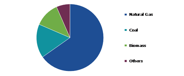 Global Combined Heat Power Market, by Fuel Type