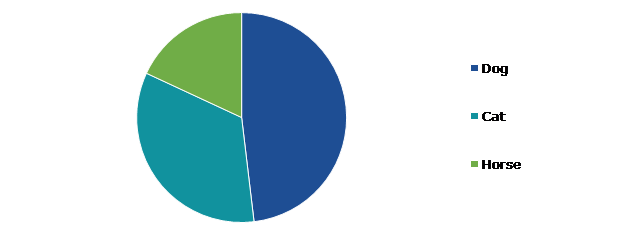 Global Companion Animal Arthritis Market, by Companion Type