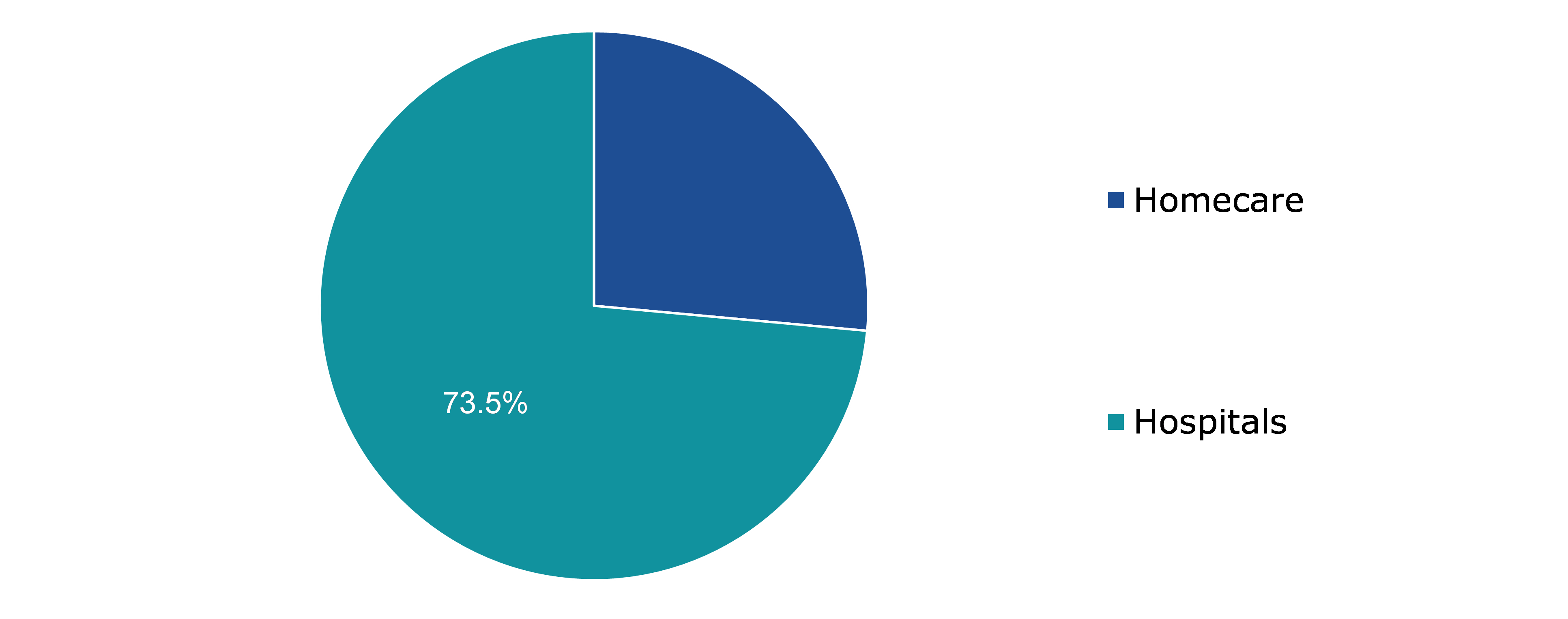 Global Connected Drug Delivery Devices Market Value, by End-user