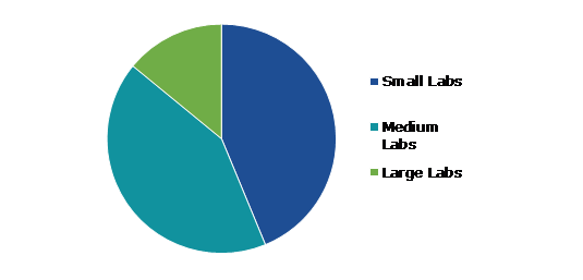 Global Culture Media Market, by Lab Size