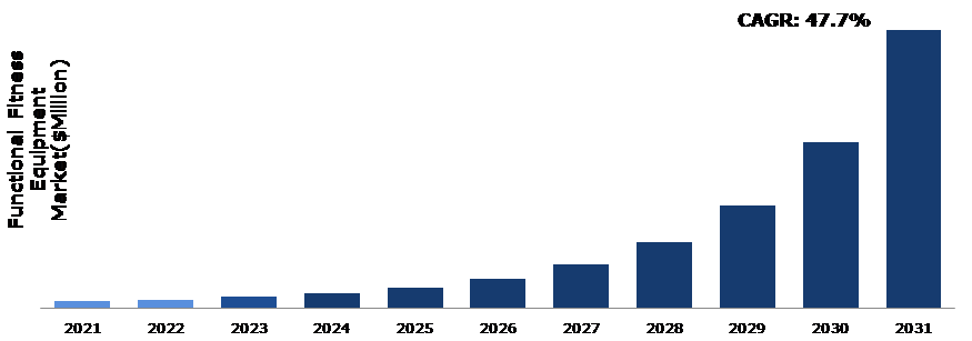 Global Functional Fitness Equipment Market Analysis