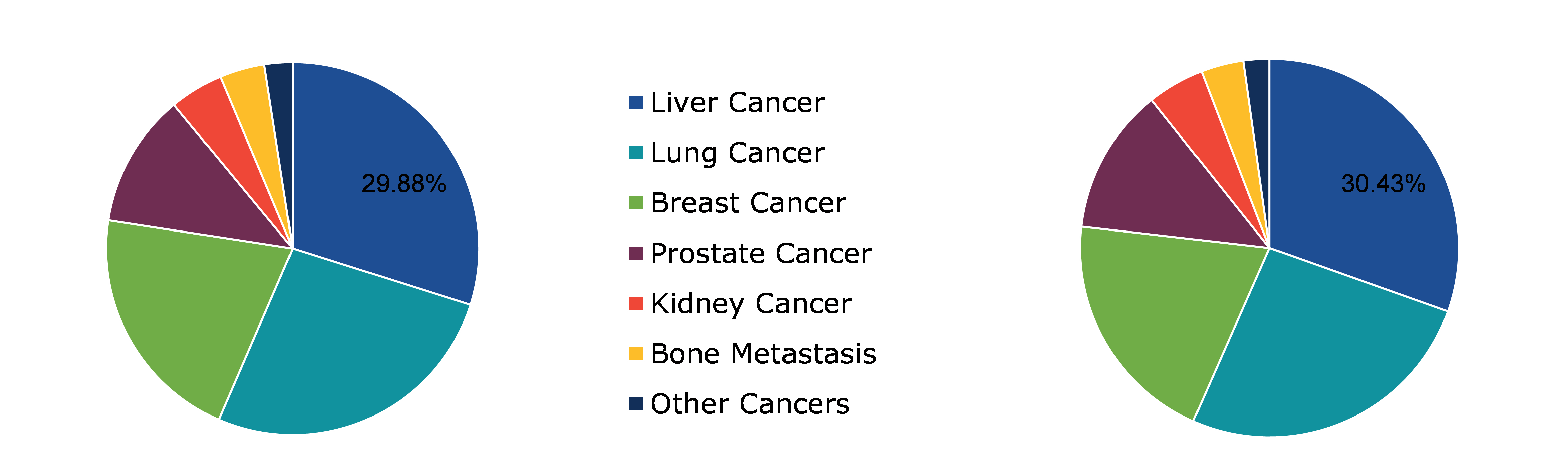 Global Interventional Oncology Market, by Cancer Type