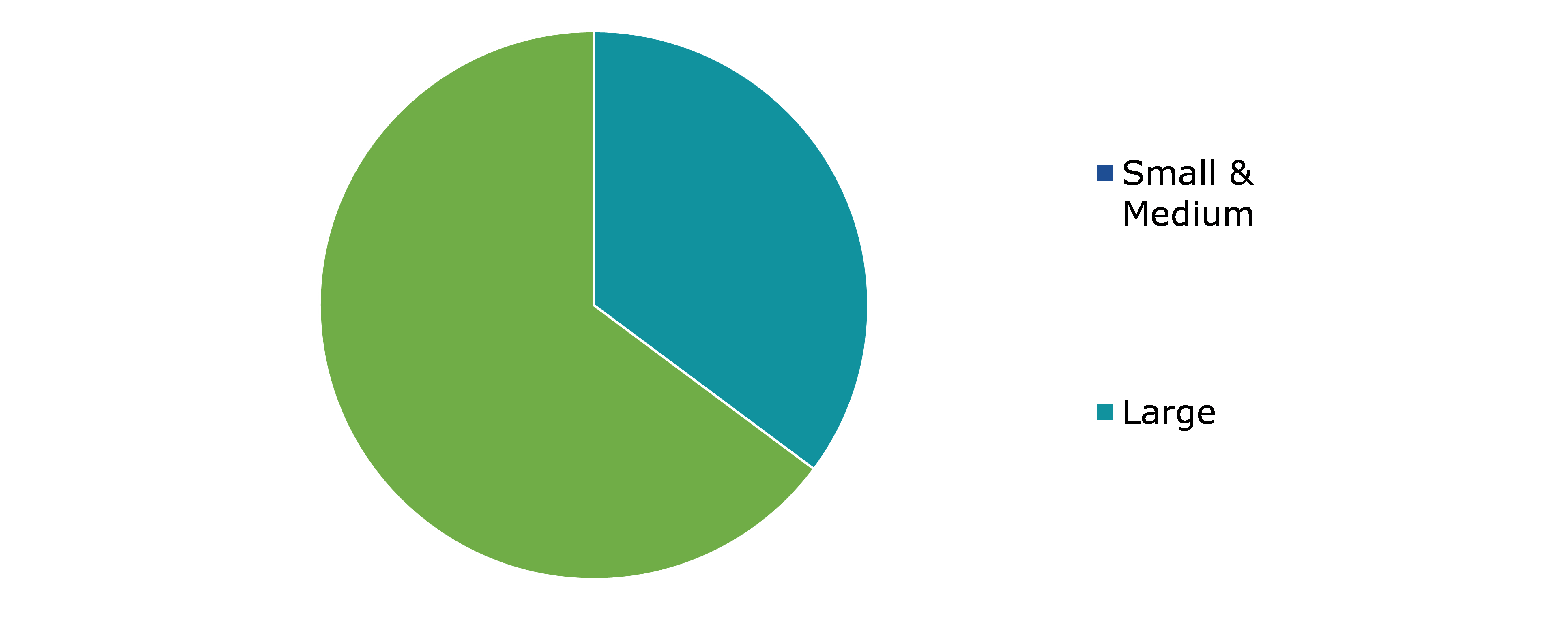Global lease Management Market, by Enterprise size