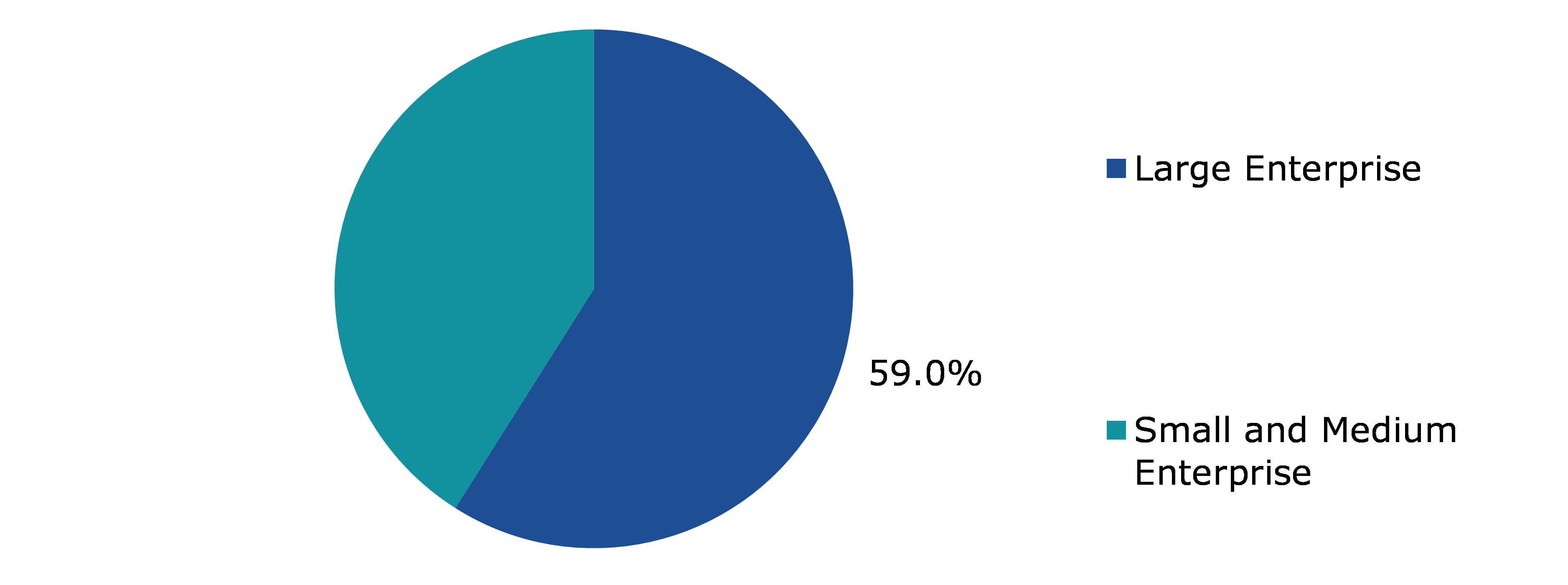Global Payment Analytics Software Market, by Enterprise Size