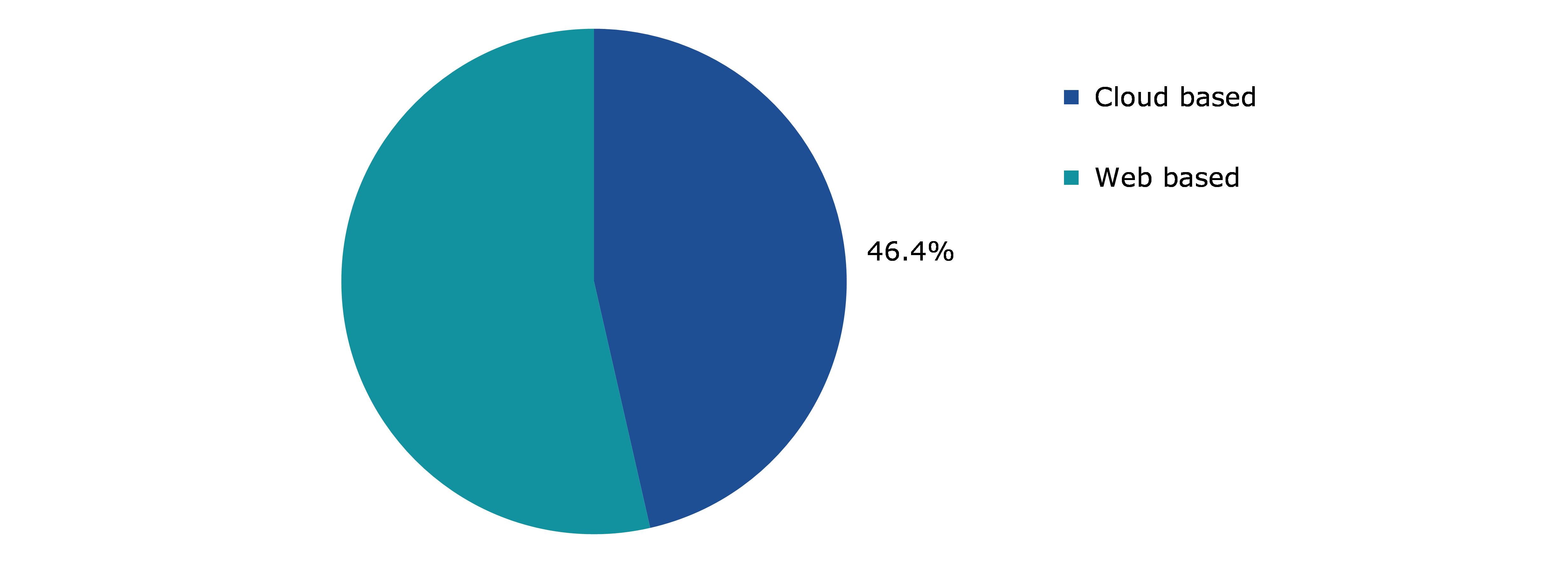 Global Payment Analytics Software Market, by Type