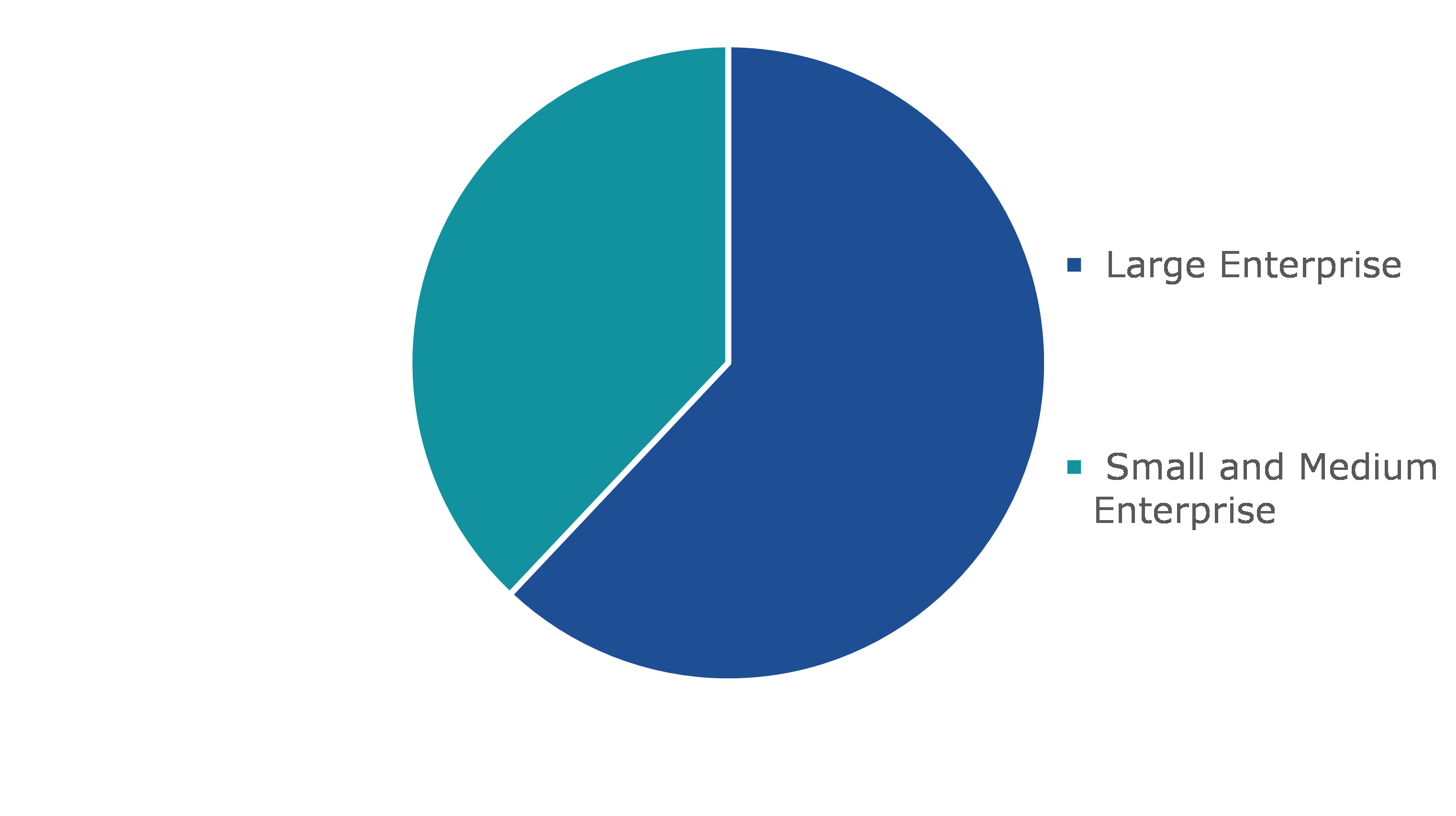 Global Payment Gateway Market, by Enterprise Size