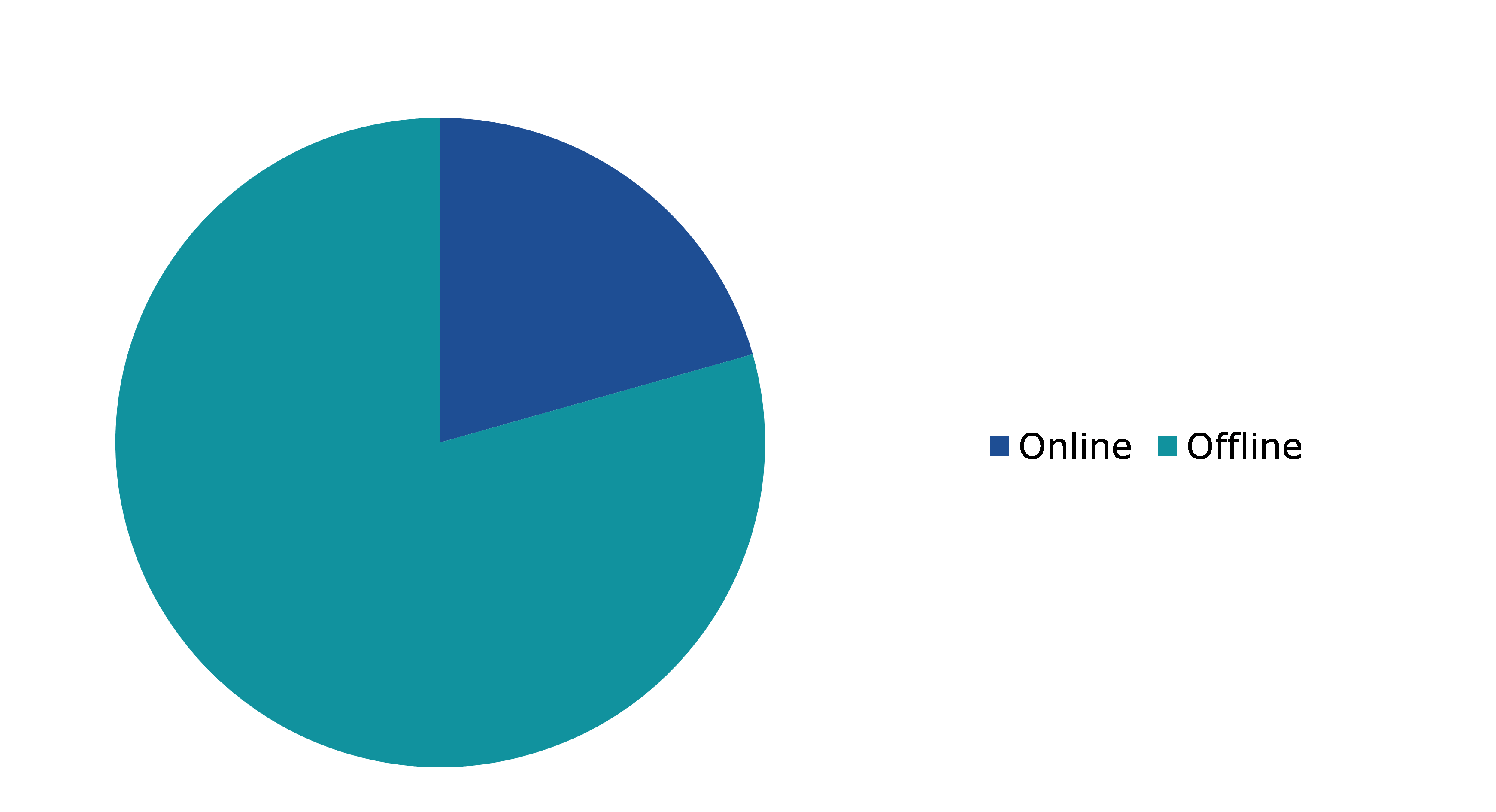 Global Rock Sport Protection Products Market, by Distribution Channel