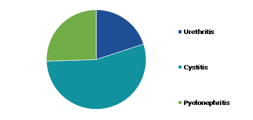 Global Urinary Tract Infection Testing Market, by Infection Type